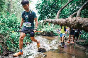 BIB: 
                            <button type="button" onclick="openModal(25373249)" class="btn btn-primary btn-sm float-right btn-popup" data-toggle="modal" data-target=".modal-high-quality">
                        <i class="fas fa-shopping-cart"></i> Add to Cart
                    </button>
                                            <button type="button" onclick="isThisMe(25373249, true)" class="btn btn-success btn-sm float-right btn-popup btn-isme hidden" data-toggle="tooltip" data-placement="bottom" title="นี่คือรูปของคุณใช่ไหม คลิกที่นี่เพื่อเอาเข้าอัลบั้ม">
                        <i class="fas fa-plus"></i> Add to album
                    </button>
                    <button type="button" onclick="isThisMe(25373249, false)" class="btn btn-warning btn-sm float-right btn-popup btn-isnotme hidden">
                        <i class="fas fa-ban"></i> Remove from album
                    </button>